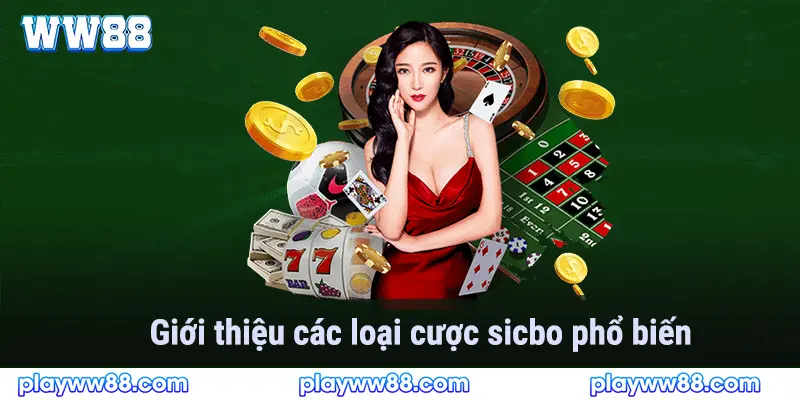 Giới thiệu các loại cược sicbo phổ biến